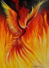 The drawing will make more sense when you read the story below which tells you about this mythical bird and how it came to be. Phoenix Bird Photo Photo Of Bird