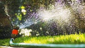 Ich muss jetzt 4 tage ihren garten gießen und brauche ca 20min pro tag. Pflanzen Richtig Giessen Wann Am Besten Und Bewassern In Den Ferien