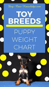 puppy weight chart this is how big