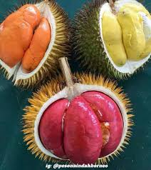 Karakteristik harga pokok pesanan pada perusahaan yang menggunakan metode harga pokok pesanan memiliki karakteristik, sebagai berikut: Serupa Tapi Tak Sama Ini Buah Asli Kalimantan Yang Mirip Durian