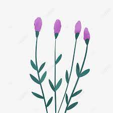 The aster or the michaelmas daisy is a hardy perennial that blooms between late summer and fall. Hand Drawn Cute Purple Flowers Drawing Flower Nature Png Transparent Clipart Image And Psd File For Free Download