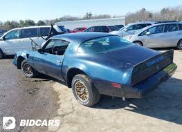 Image result for Blu Appennino 1981 Fleet