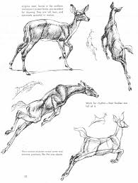 Art Of Animal Drawing Deer Drawing Animal Sketches Animal Drawings