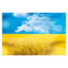 Верховна рада україни офіційно оголосила датою початку тимчасової окупації. Prapor Ukrayini Kupiti Z Dostavkoyu Lakor