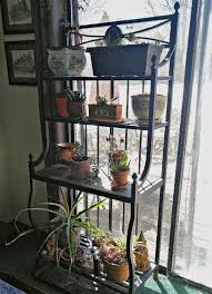 Explore a wide range of the best plant shelf on aliexpress to find one. Winter House Plant Care Taking Care Of Indoor Plants During The Winter