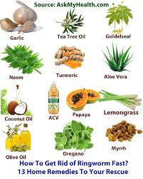 How To Get Rid Of Ringworm Fast Get Rid Of Ringworm Home Remedies For Ringworm Remedies
