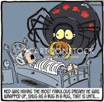 Spider Web Cartoons and Comics - funny pictures from ...