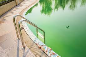 Comment Nettoyer Une Piscine Verte Sans Trop La Vider Flipr Fr