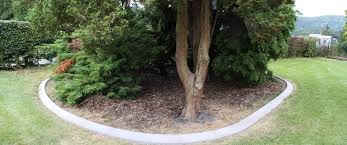 Découvrez nos produits de bordure beton pour jardin et terrasse ici. Bordures Jardins Realisation De Bordures Extrudees