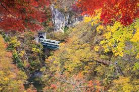 Win x japan 2018 | autumn in kansai follow me. Autumn In Japan Forecast 2018 8 Gorgeous Spots To See Autumn Leaves