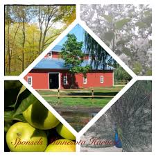 Check spelling or type a new query. Sponsel S Mn Harvest Apple Orchard Explore Minnesota
