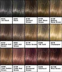Chocolate Brown Hair Colour Chart Loreal Clairol Hair Color Chart Clairol Hair Color Cinnamon Hair Colors