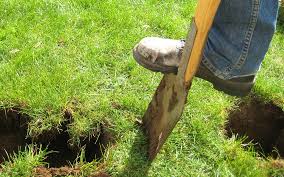 The first step in getting rid of moles is to identify them accurately, to be sure they aren't voles. How To Get Rid Of Moles And Gophers The Home Depot