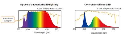 Kyocera Develops World S First Full Spectrum Led Aquarium Lighting Innovative Technology Mimics Sunlight At Specific Underwater Depths Designed To Optimize Growth Of Corals And Marine Plants News Releases Kyocera