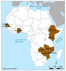 Institutional Capacity for Natural Disasters: Methodology for Case Studies  in Africa
