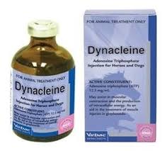 Proteins are the building blocks of the muscle structure. Buy Dynacleine Injection 50ml Grays Australia