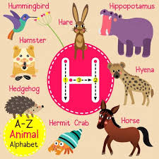 Letter H Zoo Alphabet Alphabet Lettering Animal Alphabet