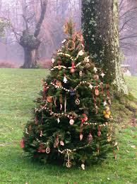 Decorate An Outdoor Holiday Tree For Animals Outdoor Christmas Tree Outdoor Christmas Tree Decorations Holiday Tree
