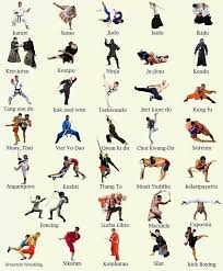 Contact Sports Gentleman S Essentials Martial Arts Workout Martial Arts Karate Martial Arts