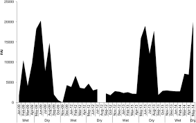 Image result for Grewia rugosifolia