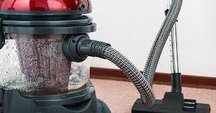 A steam cleaner helps to keep his crate clean and sanitized without using harsh chemicals around him. How To Start A Carpet Cleaning Business In 7 Steps Godaddy Blog