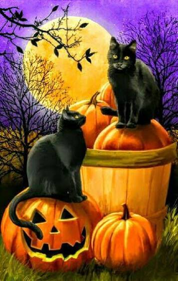 900+ Best Happy Halloween ideas | black cat happy halloween gif, happy halloween cat with pumpkins, happy halloween witch images