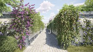 Image result for Rhynchosia tricuspidata