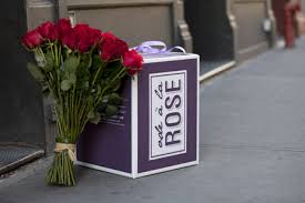 We did not find results for: Dating Flowers A Comprehensive Guide