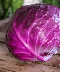 Gastronomia il cavolo nero è una pianta erbacea edule appartenente alla famiglia delle brassicaceae, identificata. Acquista Cavolo Cappuccio Viola Bio Consegna A Domicilio Con Papilla