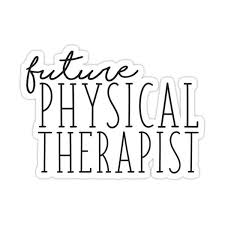 Future Physical Therapist Sticker By Annmariestowe Physical Therapy Quotes Physical Therapist Physical Therapist Quote