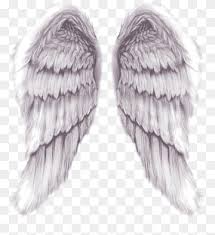 Desenlace, decide deshacer lo mal hecho. Alas De Angel Png Png Imagenes Pngwing