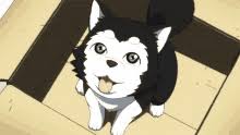 Cute Anime Dog Gifs Tenor But with so many adorable anime dogs out there, how could you ever choose just one? cute anime dog gifs tenor