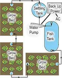 Pin On Aquaponics