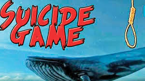 Oct 28, 2021 · mekorama presents you with a total of 50 level, with each level being more difficult than the last one. Blue Whale Challenge Claims Saudi Boy S Life