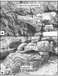 Do small cavities need to be filled. A Small Cavity Filled By Internal Sediment Limits Of Internal Download Scientific Diagram