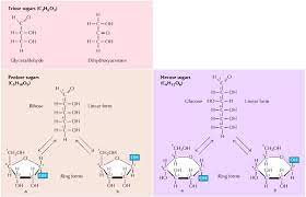 Figure 2 2 Structure Of Simple Sugars The Cell Ncbi Bookshelf Chemistry Biochemistry Fluid Dynamics