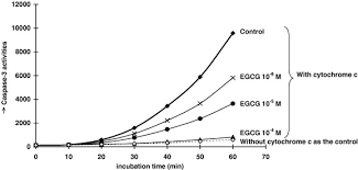 Catechin derivatives: Specific inhibitor for caspases-3, 7 and 2, and the  prevention of apoptosis at the cell and animal levels