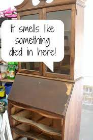 I ripped out any cloth or leather from. How To Get Gross Smells Out Of Old Furniture Atta Girl Says