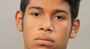 DA: 3rd arrest in Hempstead Lake State Park machete attack