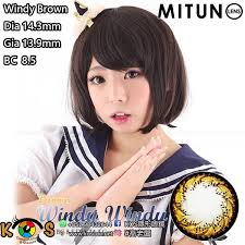 Mitunolens Windy Brown ウィンディウィンディブラウン1年用14.3mm