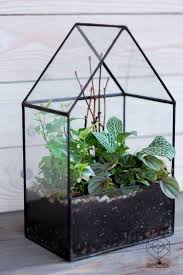 Big Glass House Planter Handmade Glass Succulent Terrarium Etsy Glass House Glass Display Box House Planter