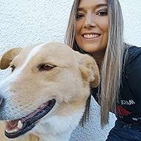 Les amours de Laura Quick by Isabel Wolff