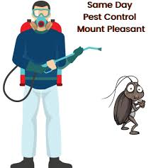 Proudly serving south & north carolina since 2017. Pest Control Mount Pleasant Leading Termite Exterminators