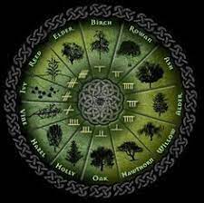 El término procede del verbo significar, vinculado al signo de una idea o de algo material y a aquello que, por convención o. Celticircle 1 Tarot Brasil Significado Dos Signos Celta Arvore Celta