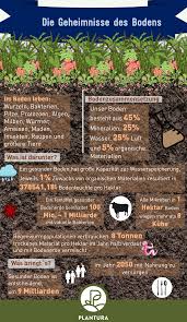 Bodenverbesserung Tipps Um Den Gartenboden Zu Verbessern In 2020 Gartenboden Garten Boden