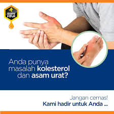 Hasil gambar untuk obat kolesterol di karawang