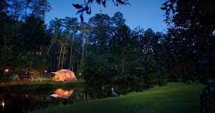 At disney's fort wilderness resort & campground, guests can choose to stay in a comfortable cabin or take to the wilderness and stay on the campground on a campsite. The Campsites At Disney S Fort Wilderness Resort