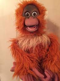 Ventriloquist Doll Figure Orangutan Monkey Side To Side Eyes By Detweiler Orangutan Monkey Ventriloquist Doll Orangutan