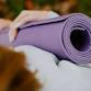 Yoga in the Park event image