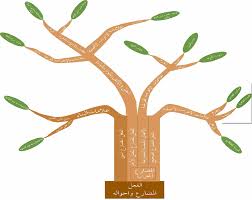صور خرائط مفاهيم